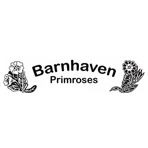 Barnhaven Primroses